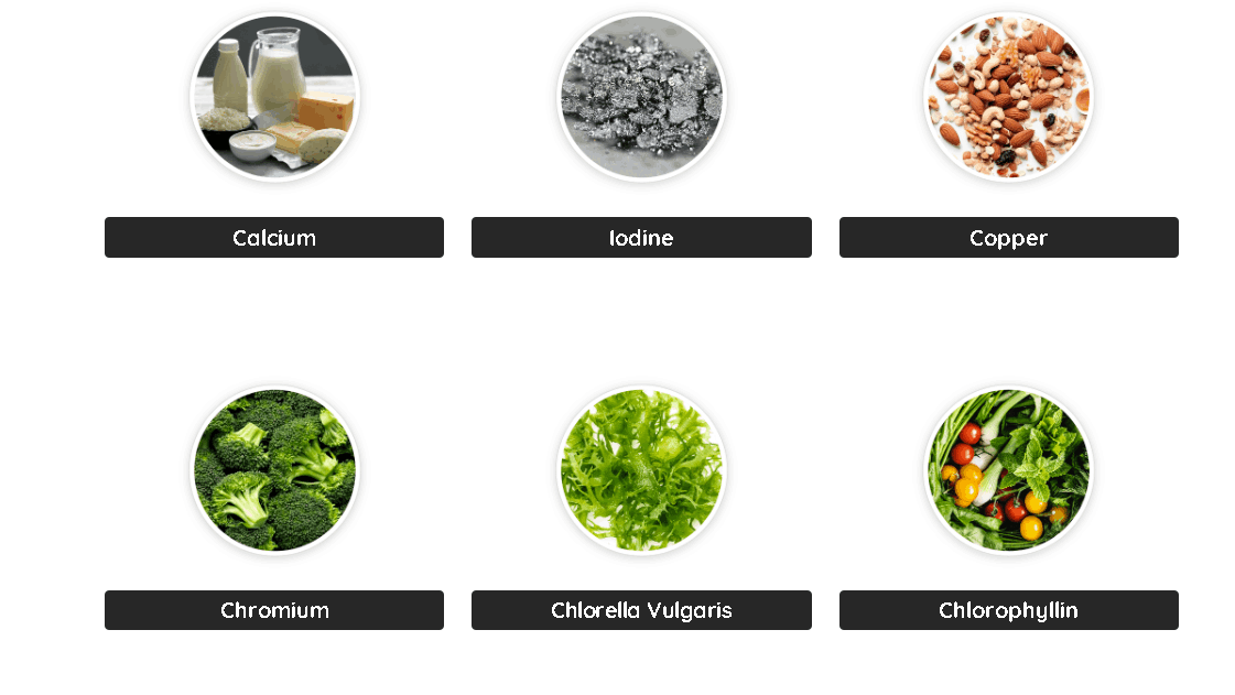 DentiCore-ingredients